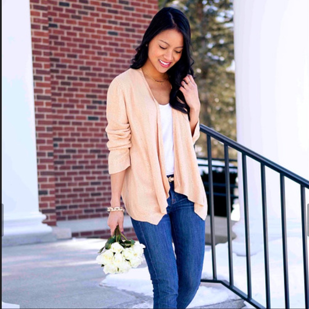 Joie blush pink sequins blazer